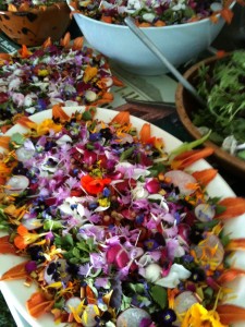 Salads made from the gardens at Strawbery Banke for Taste of the Nation 2010